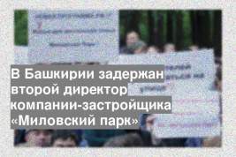 В Башкирии задержан второй директор компании-застройщика «Миловский парк»