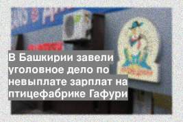 В Башкирии завели уголовное дело по невыплате зарплат на птицефабрике Гафури