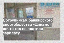 Сотрудникам башкирского спортобщества «Динамо» почти год не платили зарплату