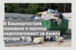 В Башкортостане граждане и юрлица недоплачивают за вывоз мусора