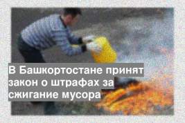 В Башкортостане принят закон о штрафах за сжигание мусора