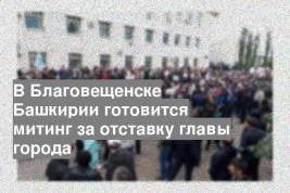 В Благовещенске Башкирии готовится митинг за отставку главы города