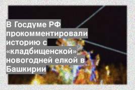 В Госдуме РФ прокомментировали историю с «кладбищенской» новогодней елкой в Башкирии