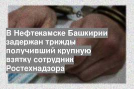 В Нефтекамске Башкирии задержан трижды получивший крупную взятку сотрудник Ростехнадзора