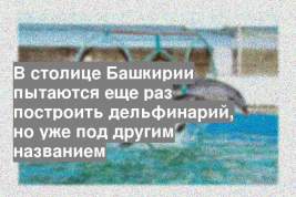 В столице Башкирии пытаются еще раз построить дельфинарий, но уже под другим названием