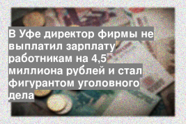 В Уфе директор фирмы не выплатил зарплату работникам на 4,5 миллиона рублей и стал фигурантом уголовного дела