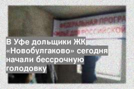 В Уфе дольщики ЖК «Новобулгаково» сегодня начали бессрочную голодовку