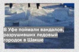 В Уфе поймали вандалов, разрушивших ледовый городок в Шакше