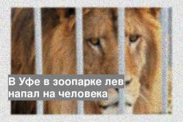 В Уфе в зоопарке лев напал на человека