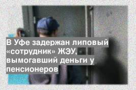 В Уфе задержан липовый «сотрудник» ЖЭУ, вымогавший деньги у пенсионеров