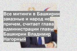 Все митинги в Башкирии заказные и народ не причем, считает глава администрации главы Башкирии Владимир Нагорный