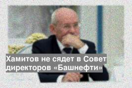 Хамитов не сядет в Совет директоров «Башнефти»