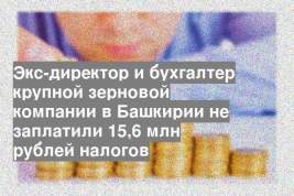 Экс-директор и бухгалтер крупной зерновой компании в Башкирии не заплатили 15,6 млн рублей налогов