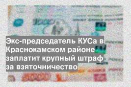 Экс-председатель КУСа в Краснокамском районе заплатит крупный штраф за взяточничество