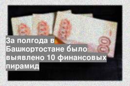 За полгода в Башкортостане было выявлено 10 финансовых пирамид