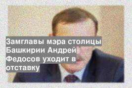 Замглавы мэра столицы Башкирии Андрей Федосов уходит в отставку