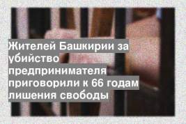 Жителей Башкирии за убийство предпринимателя приговорили к 66 годам лишения свободы