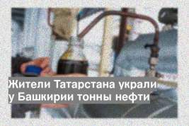 Жители Татарстана украли у Башкирии тонны нефти